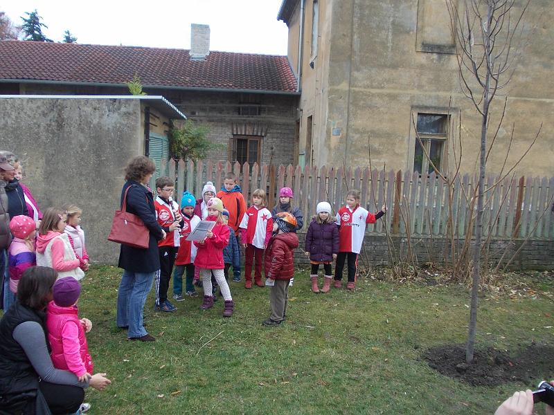 foto 009.jpg - Kulturn vloka v podn Drahelickch slavk